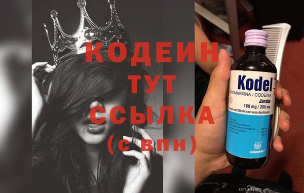 сатива Балахна