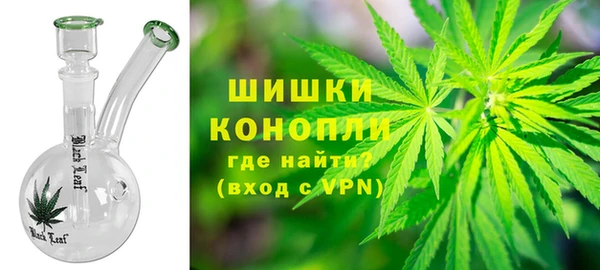 сатива Балахна
