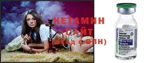 сатива Балахна