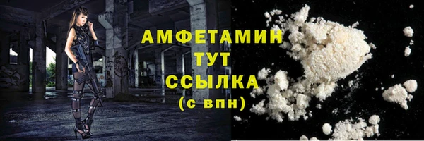 сатива Балахна