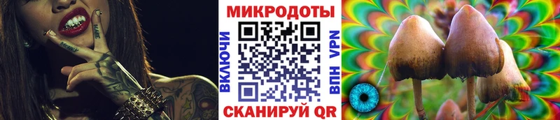 Псилоцибиновые грибы GOLDEN TEACHER  Соль-Илецк 